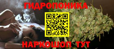 гидра Пенза