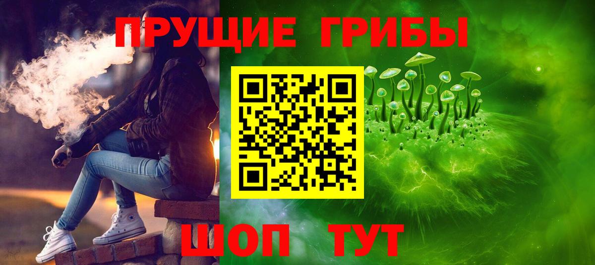 где купить наркоту  Вход с VPN  Псилоцибиновые грибы мицелий  Ахтубинск  Галлюциногенные грибы Cubensis 