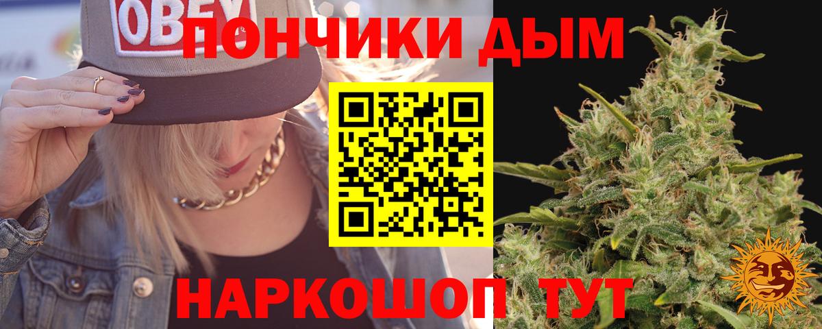 Каннабис гибрид Ахтубинск